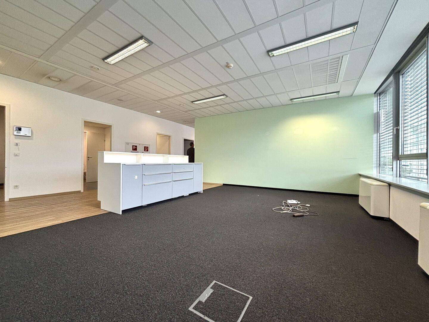 Bürofläche mit Teppichboden, einer hellgrünen Akzentwand und einem Empfangstresen im Eingangsbereich.