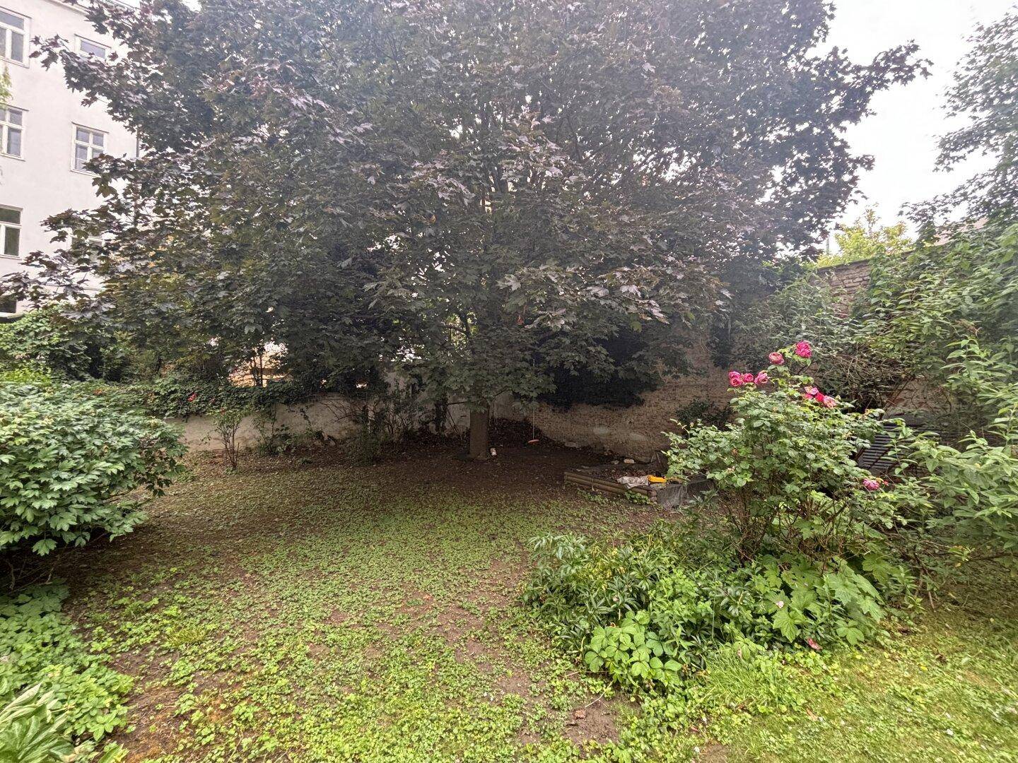 Ruhiger Gartenbereich mit altem Baum und üppiger Vegetation, ideal zum Entspannen.
