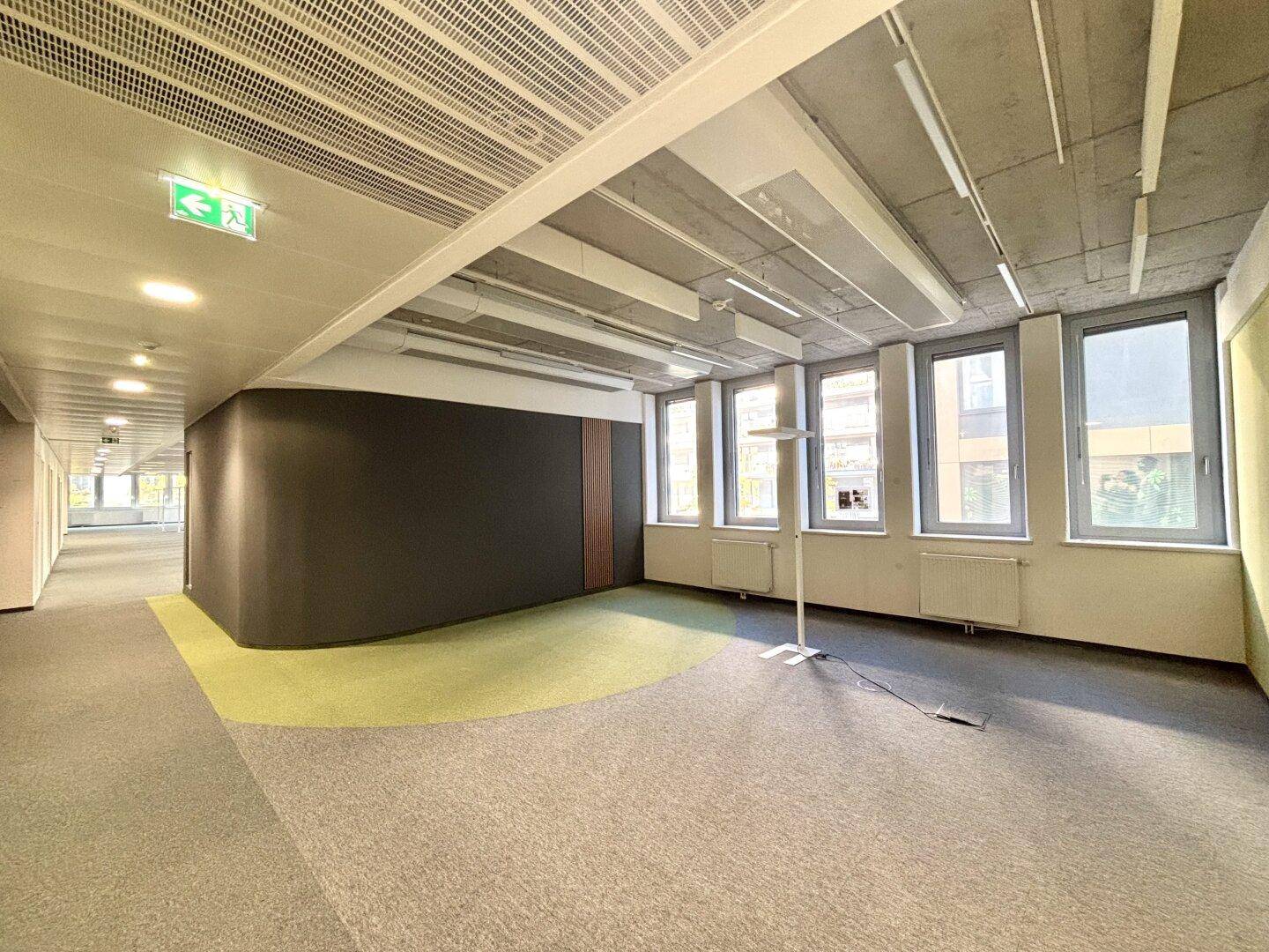 Geräumiger, leerer Büroraum mit Teppichboden, großen Fenstern und sichtbarer Betondecke.