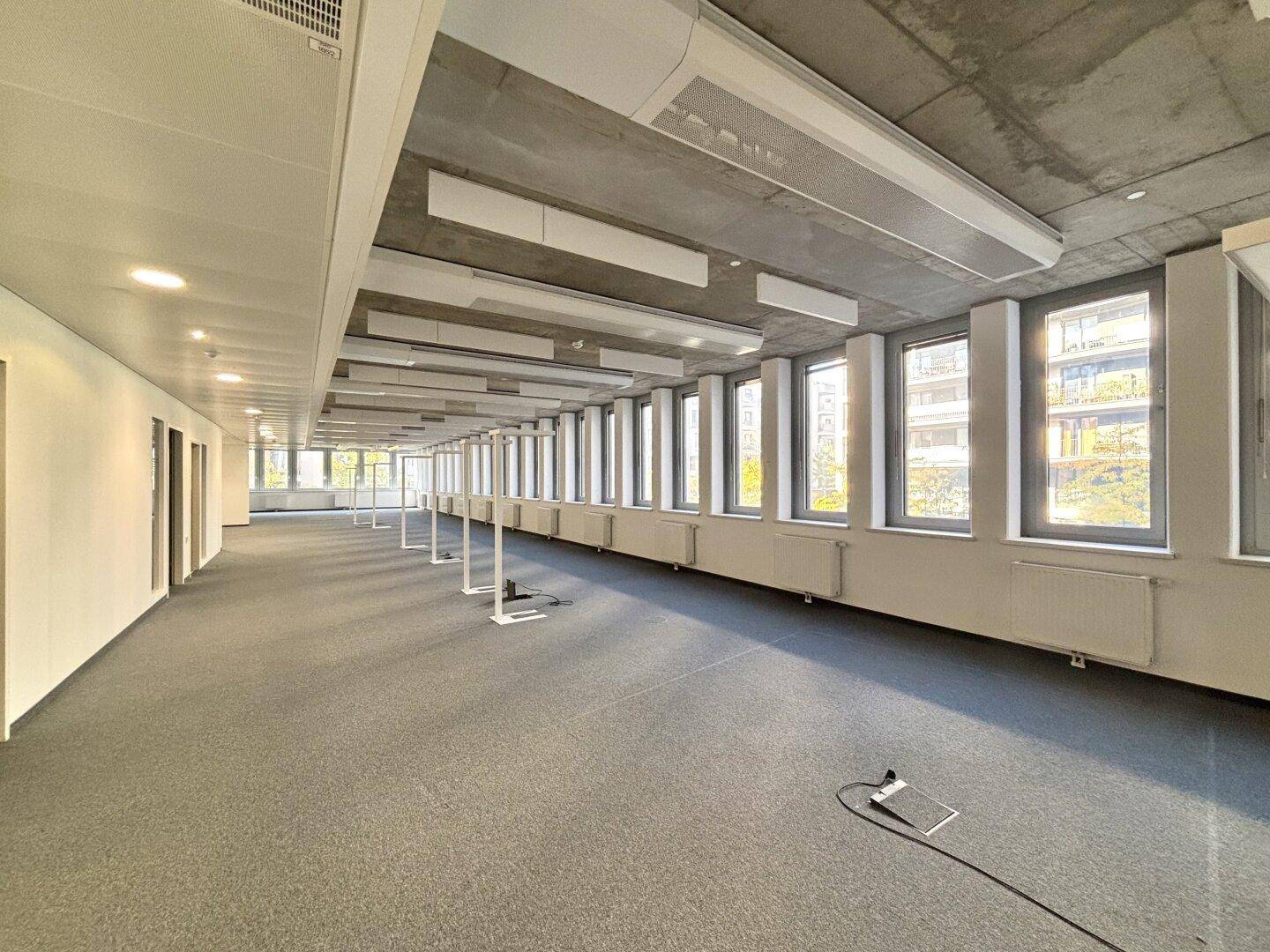 Weitläufiger Büroraum mit durchgehender Fensterfront, Teppichboden und moderner Deckenbeleuchtung.