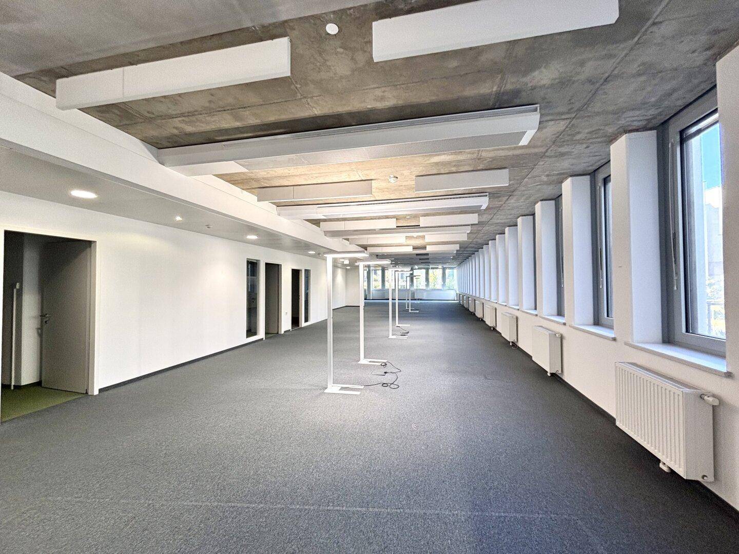 Langer, offener Bürobereich mit vielen Fenstern, Teppichboden und industrieller Betondecke.