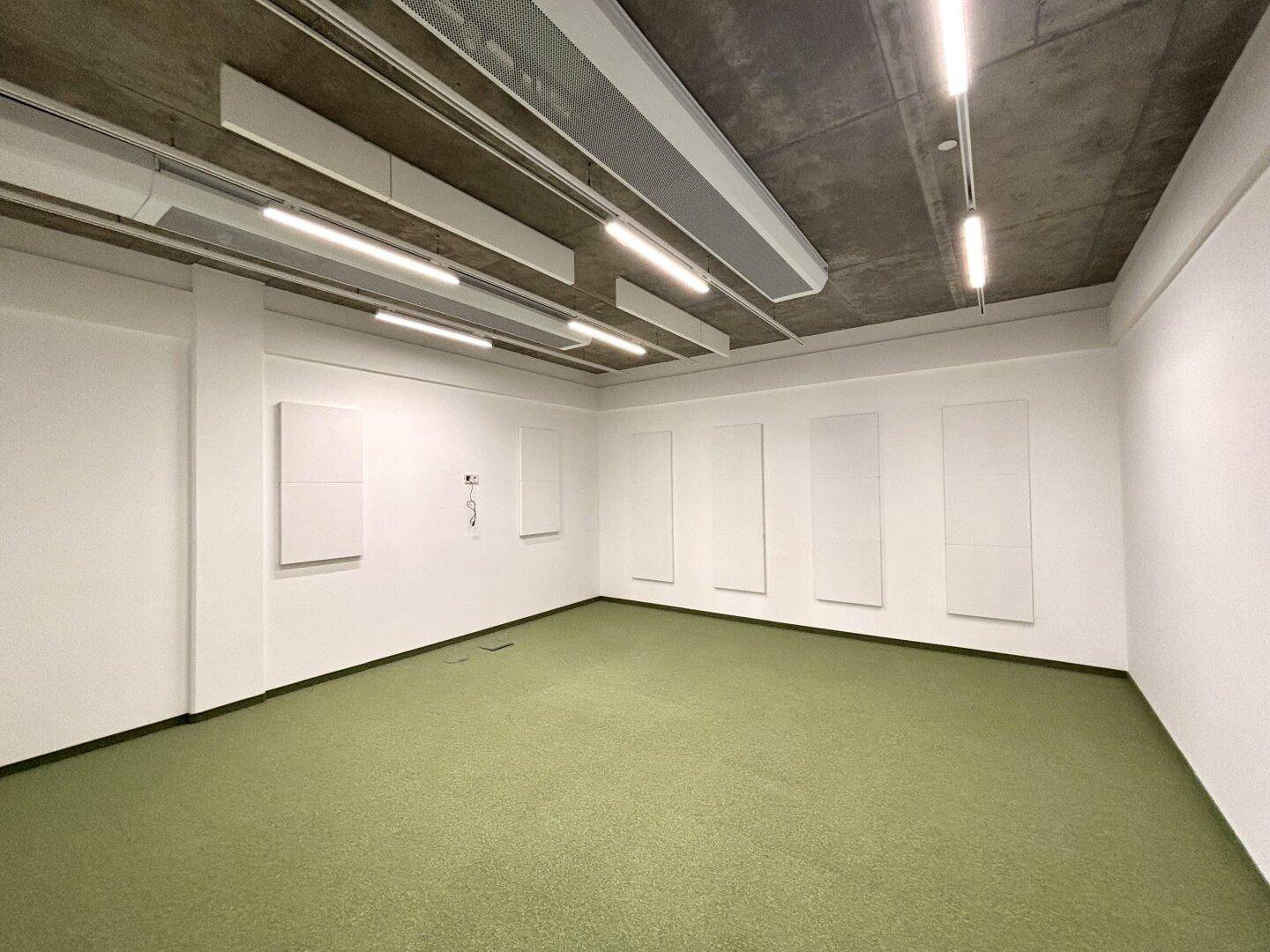 Kleinerer Büroraum mit grünem Teppichboden und schallabsorbierenden Paneelen an den Wänden.