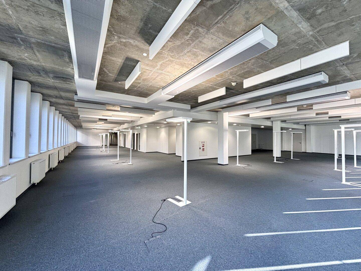 Weitläufiger Büroraum mit moderner Deckenbeleuchtung, Teppichboden und vielen Fenstern.