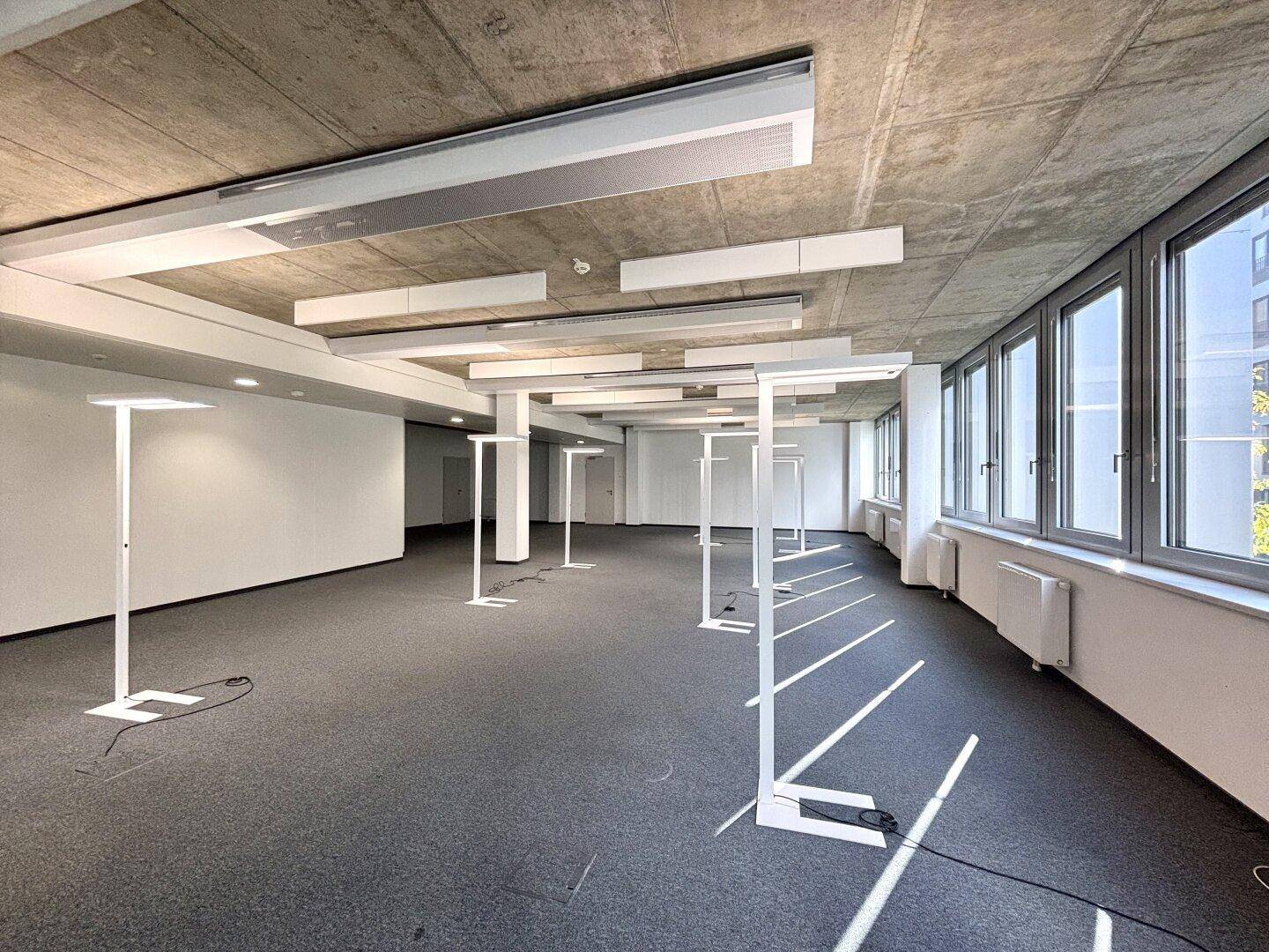 Moderner Büroraum mit dunkelgrauem Teppichboden, sichtbarer Betondecke und effizienter Beleuchtung.