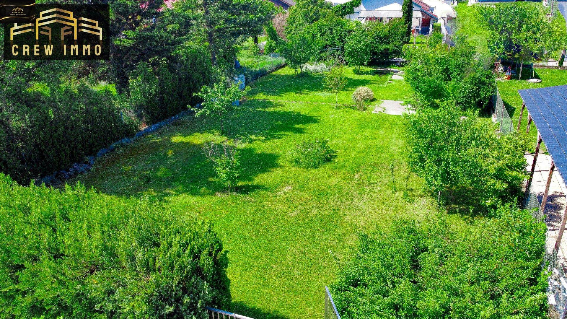 Großer, grüner Garten mit Hecken, Bäumen und viel Platz für Erholung im Freien.