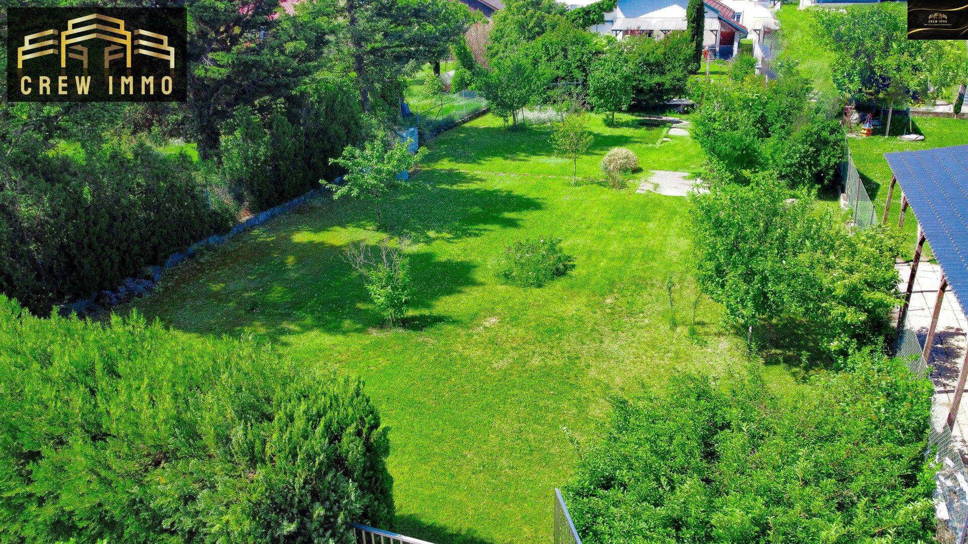 Umfangreicher Gartenbereich mit dichtem Rasen und hohen Hecken, die Privatsphäre bieten.