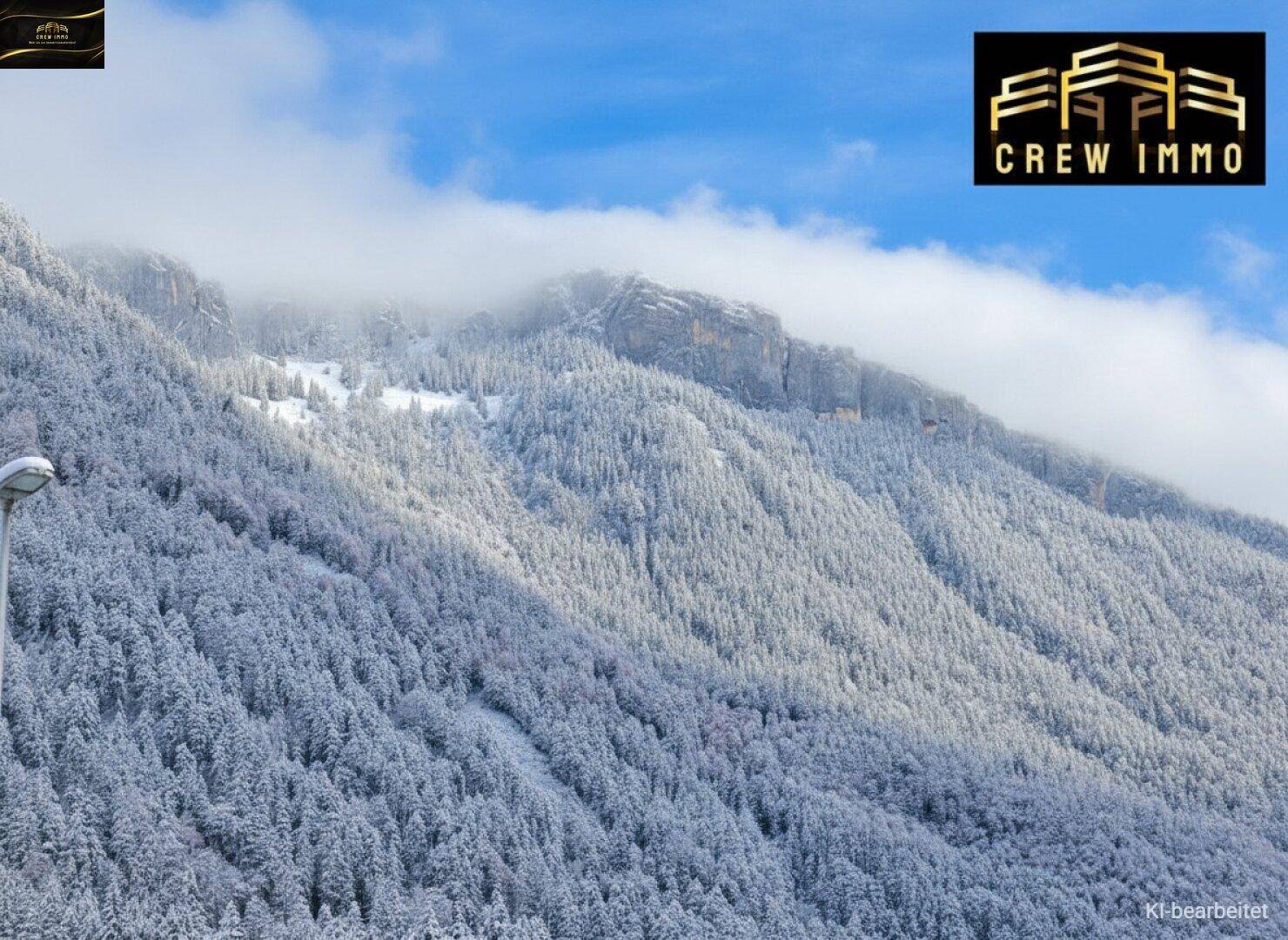 Winterliche Berglandschaft mit schneebedeckten Wäldern und felsigen Gipfeln unter bewölktem Himmel.