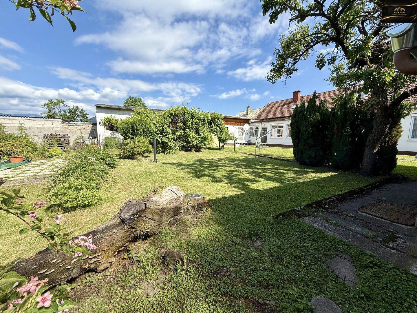 Großer, sonniger Garten mit Rasenfläche, Bäumen und einem Baumstamm im Vordergrund.