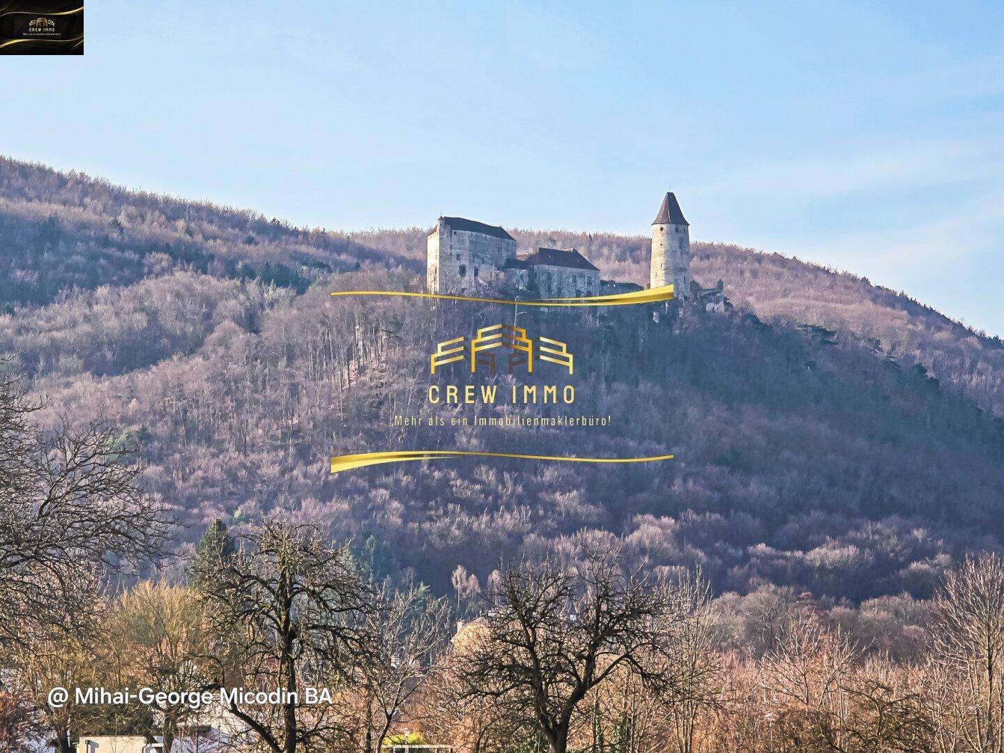 Historische Burg auf einem bewaldeten Hügel, umgeben von einer malerischen Landschaft.