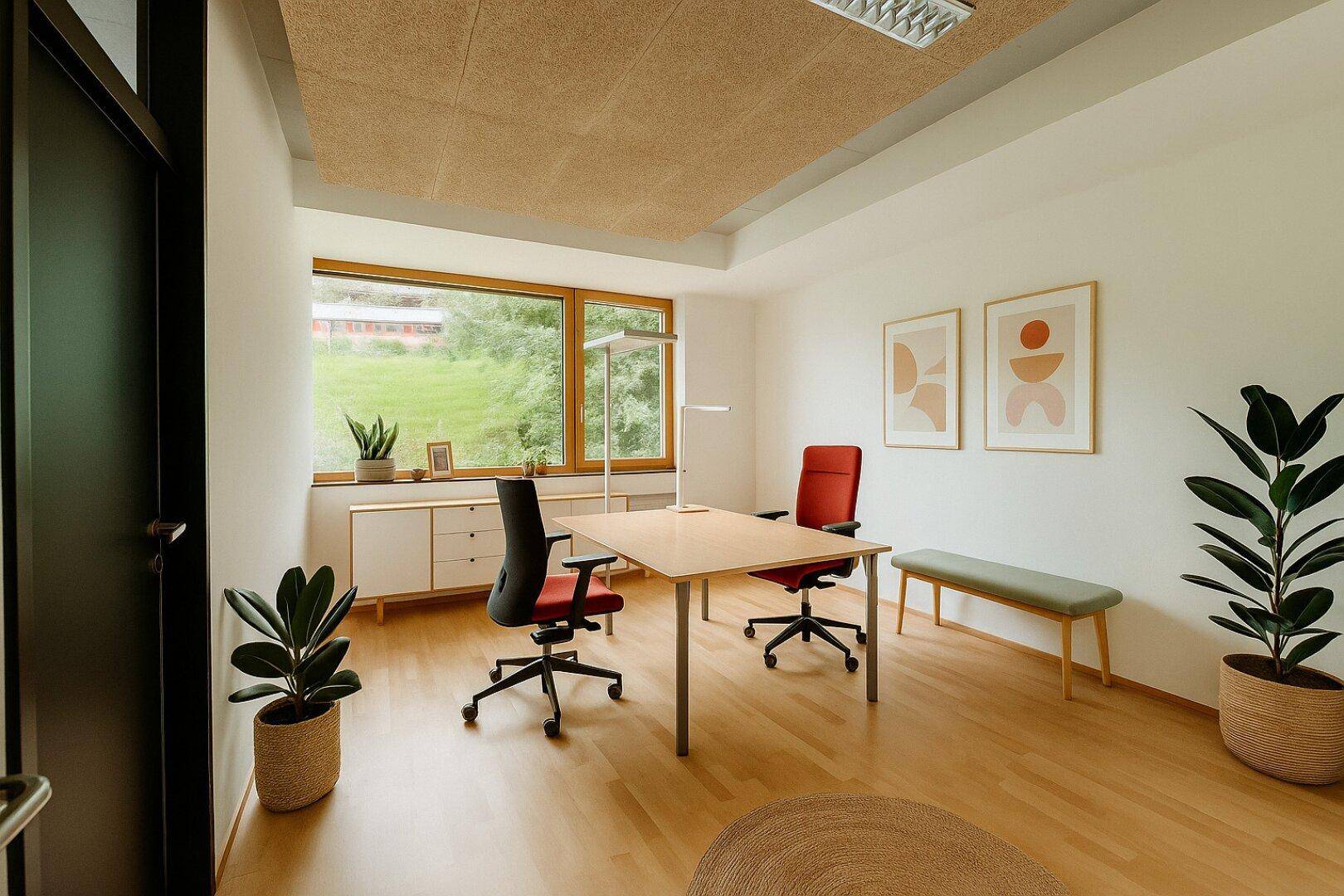 Freundliches Büro mit moderner Einrichtung, Pflanzen und einem großen Fenster mit Blick ins Grüne.