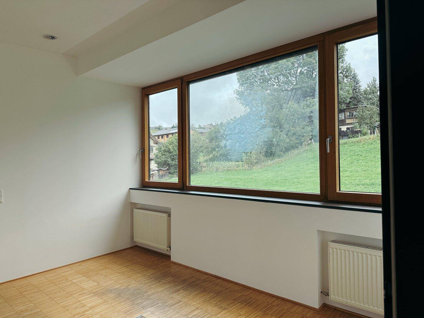 Fenster mit Holzrahmen und Heizkörper darunter, bieten einen direkten Blick auf eine grüne, bewaldete Anhöhe.