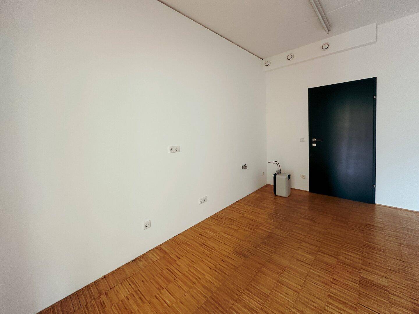 Leerer Raum mit hellem Holzboden, weißen Wänden und einer modernen schwarzen Tür.