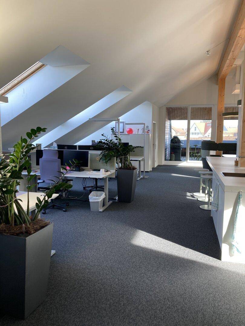 Geräumiger Bürobereich mit mehreren Arbeitsplätzen, Pflanzen und viel Tageslicht.