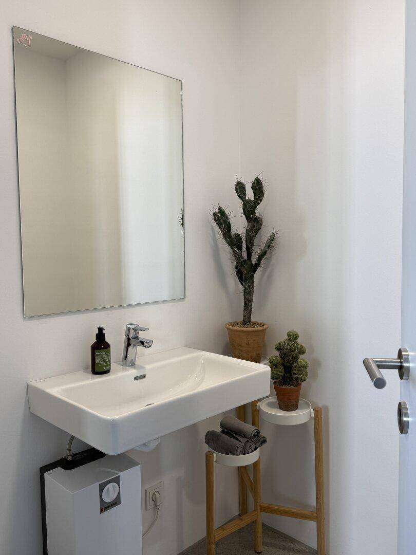 Modernes Badezimmer mit rechteckigem Waschbecken, großem Spiegel und Kakteen als Dekoration.