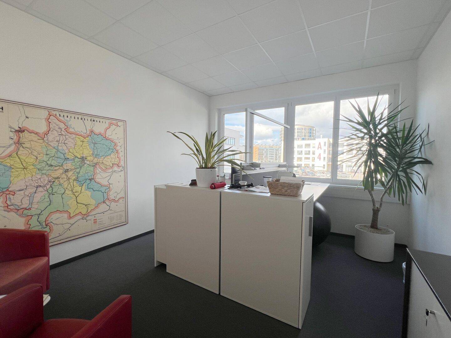 Modernes Büro mit Pflanzen, weißen Möbeln und einem großen Fenster mit Blick nach draußen.