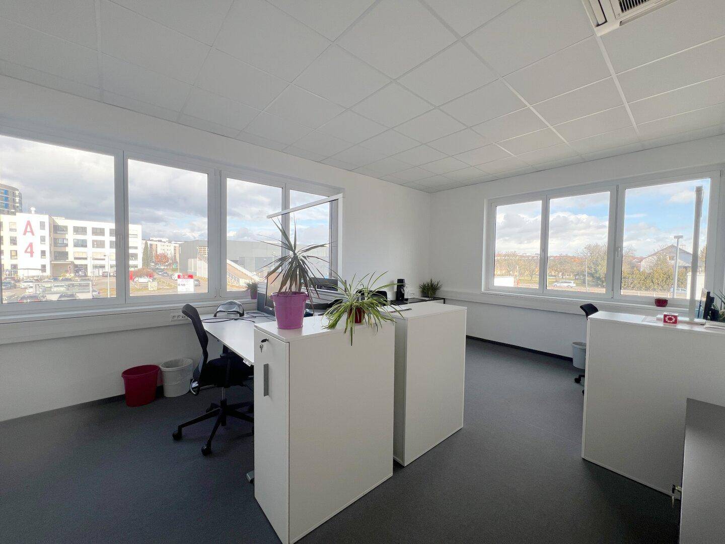Helles Büro mit großen Fenstern, weißen Schreibtischen und dunklem Vinylboden, gut beleuchtet.