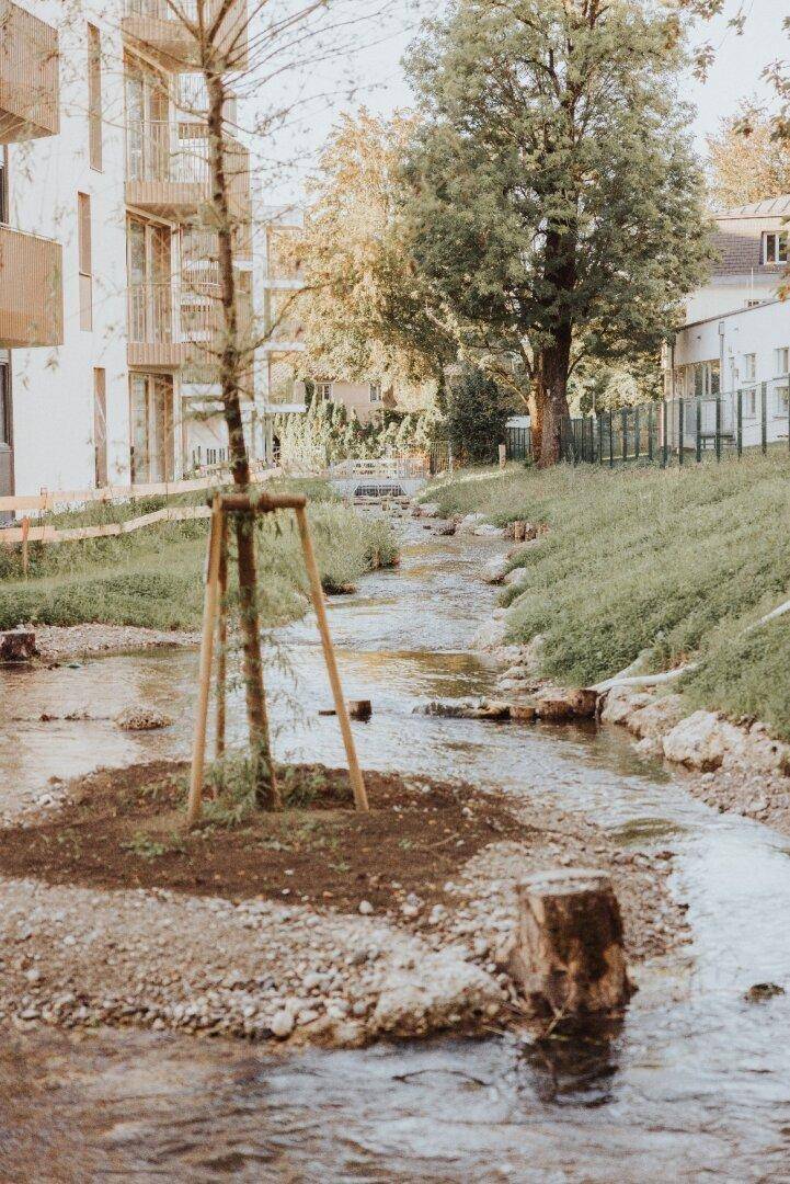 Kleiner Bachlauf mit Bäumen und Grünflächen neben den modernen Wohngebäuden.