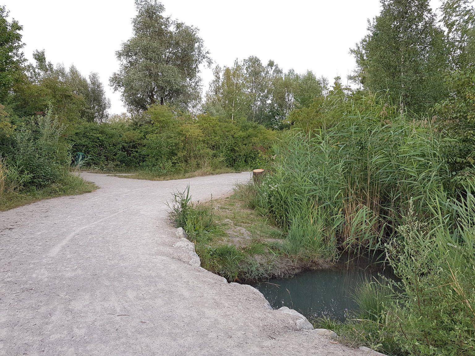 Schotterweg in einer grünen Parklandschaft mit einem kleinen Bachlauf und dichter Vegetation.