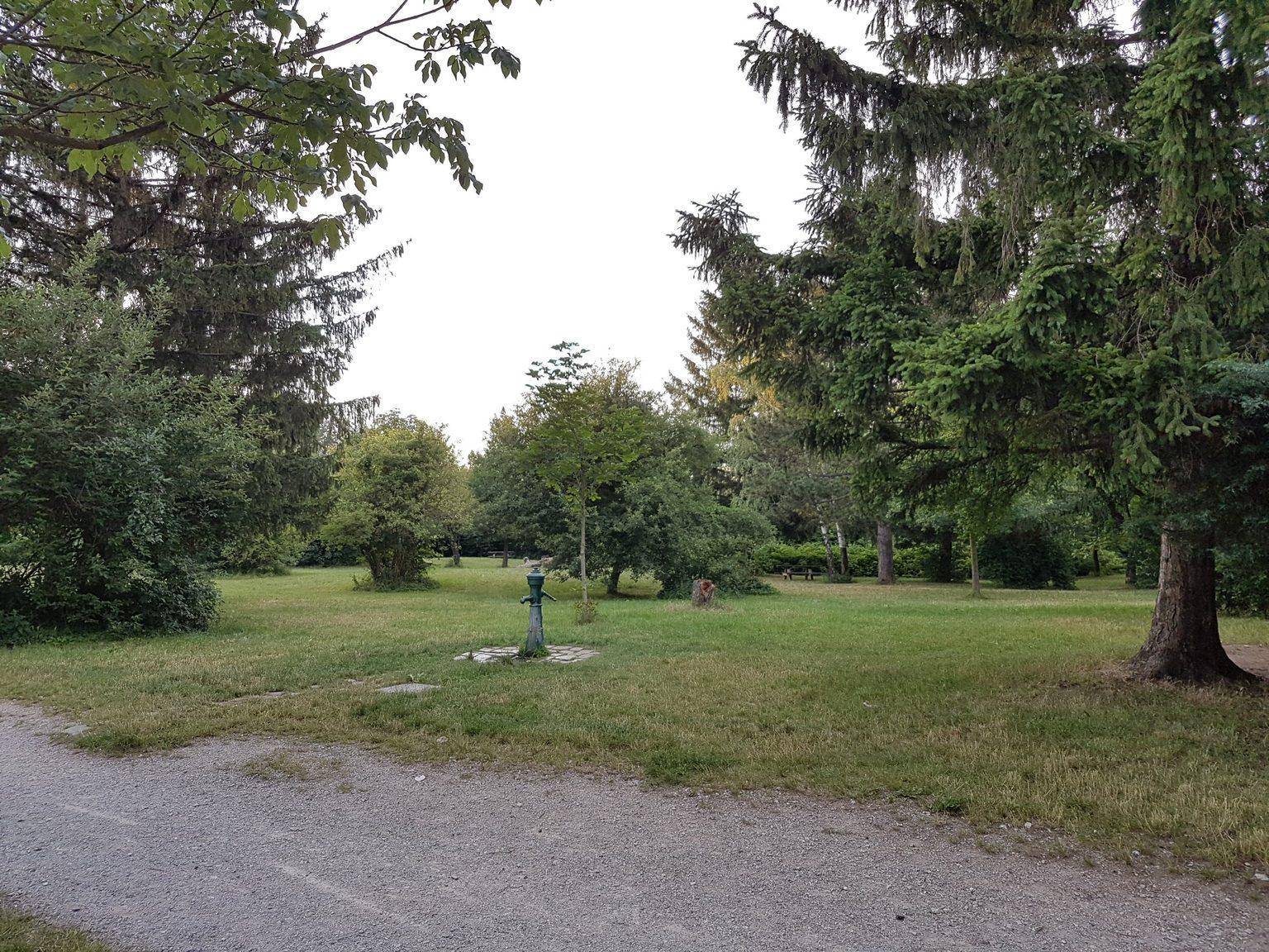 Weitläufige Grünfläche mit vereinzelten Bäumen und einer historischen Wasserpumpe in der Mitte.