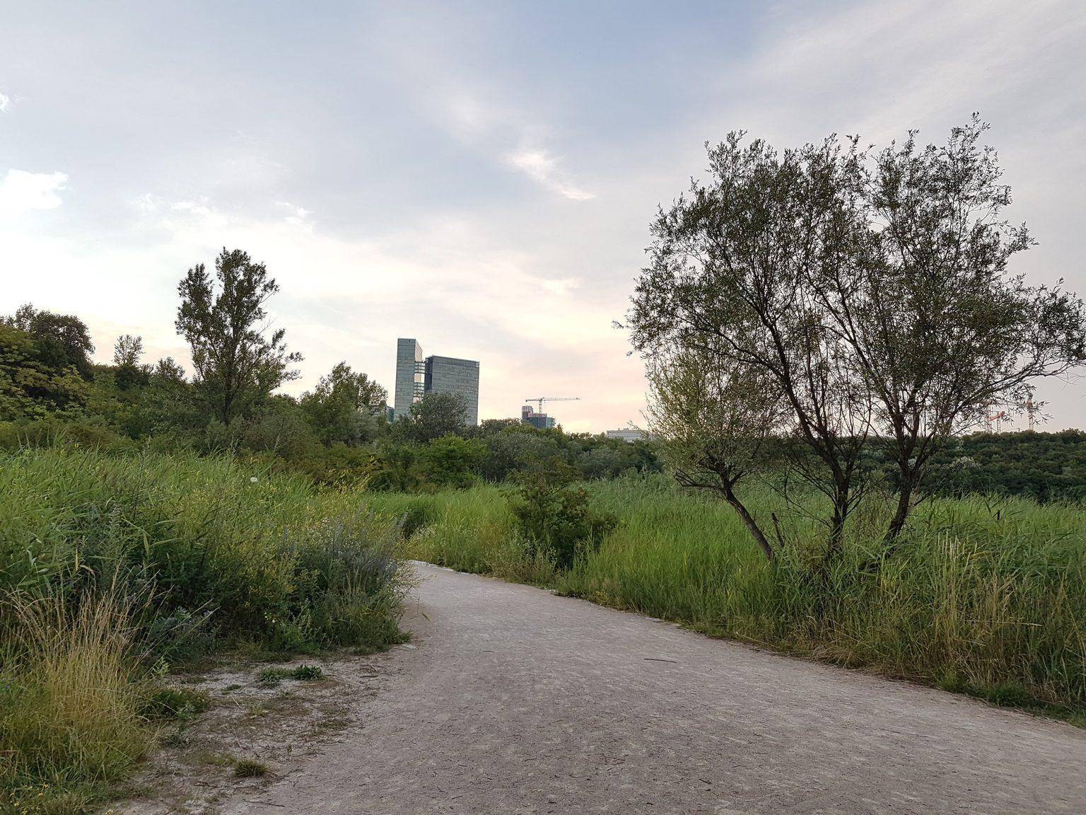 Schotterweg führt durch eine grüne Landschaft mit hohen Gräsern und Bäumen, im Hintergrund moderne Gebäude.
