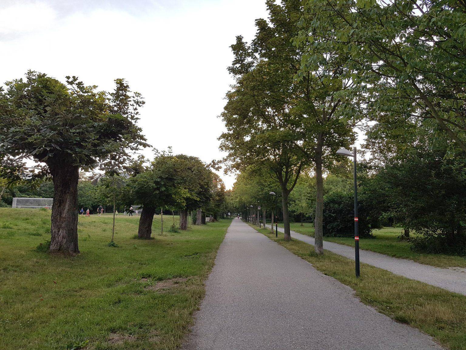 Gepflasterter Weg gesäumt von Bäumen und Laternen, ideal für Spaziergänge in der Natur.