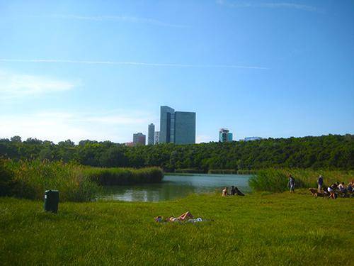 Weitläufiger See mit Liegewiese und entspannenden Menschen, im Hintergrund moderne Stadtgebäude.