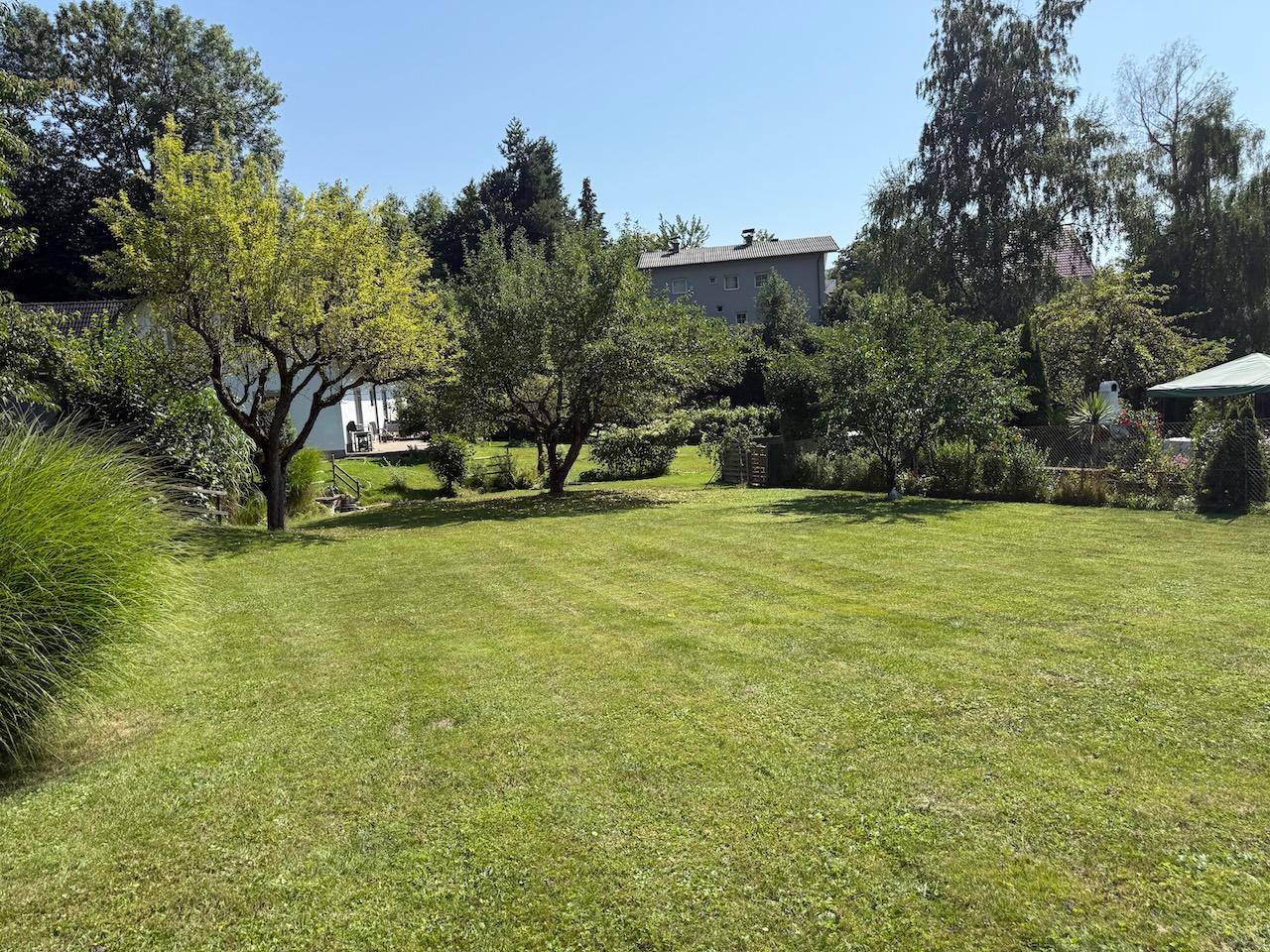 Weitläufiger Gartenbereich mit Rasenfläche und verschiedenen Bäumen unter blauem Himmel.