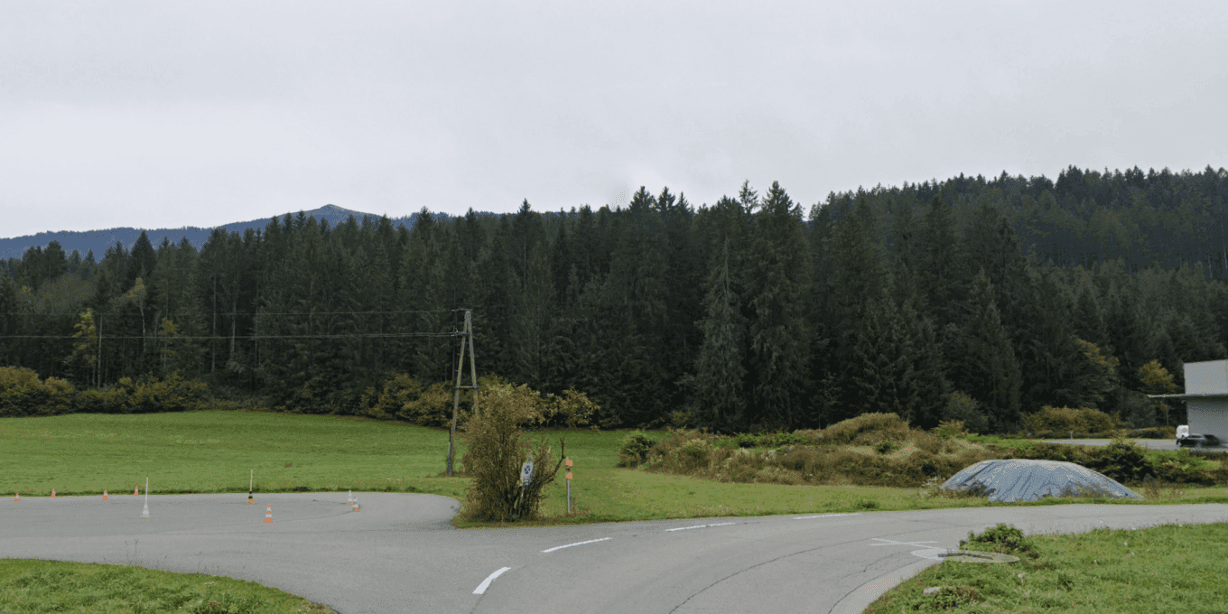 Kurvige Landstraße führt durch grüne Landschaft mit weitem Blick auf Wald und Berge im Hintergrund.