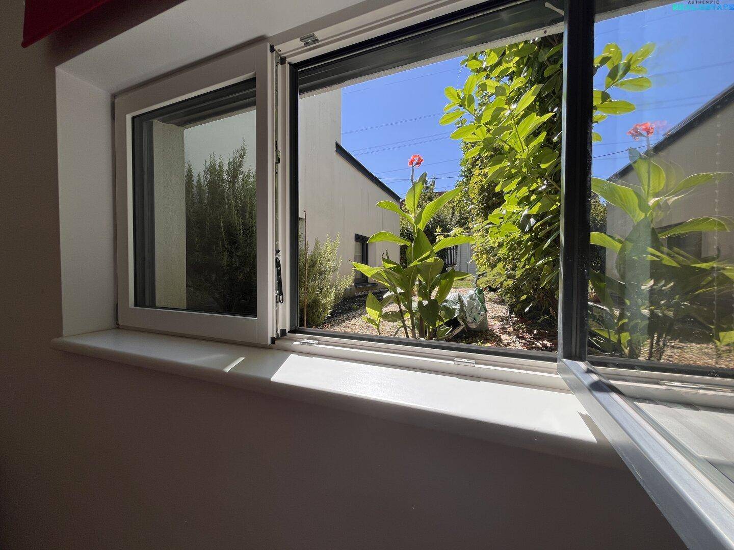 Fenster Blick zum Garten UG