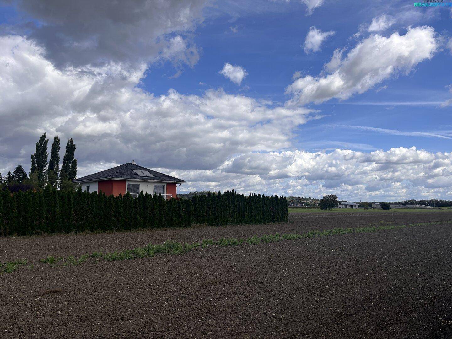 Haus
