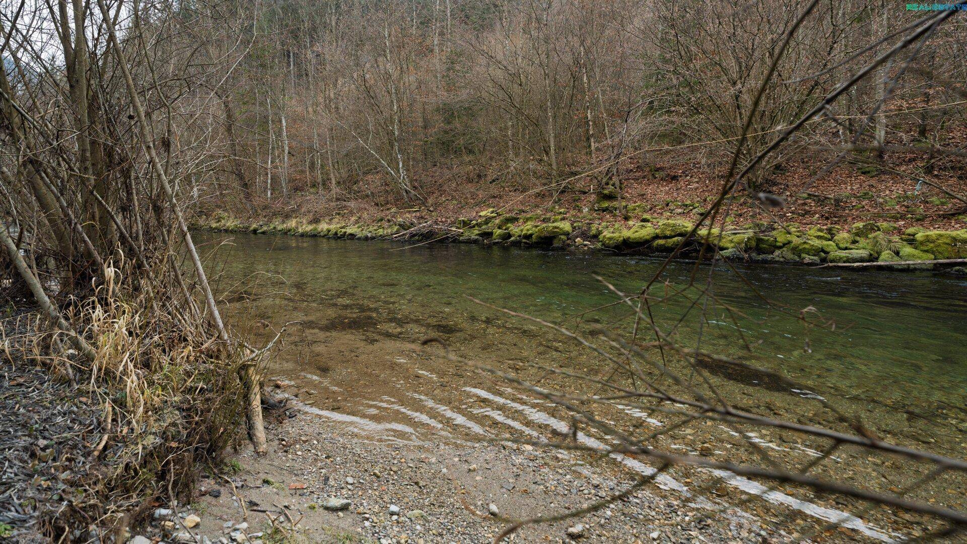 Klarer Flusslauf mit bewaldeten Ufern und felsigem Grund, umgeben von dichter Vegetation.