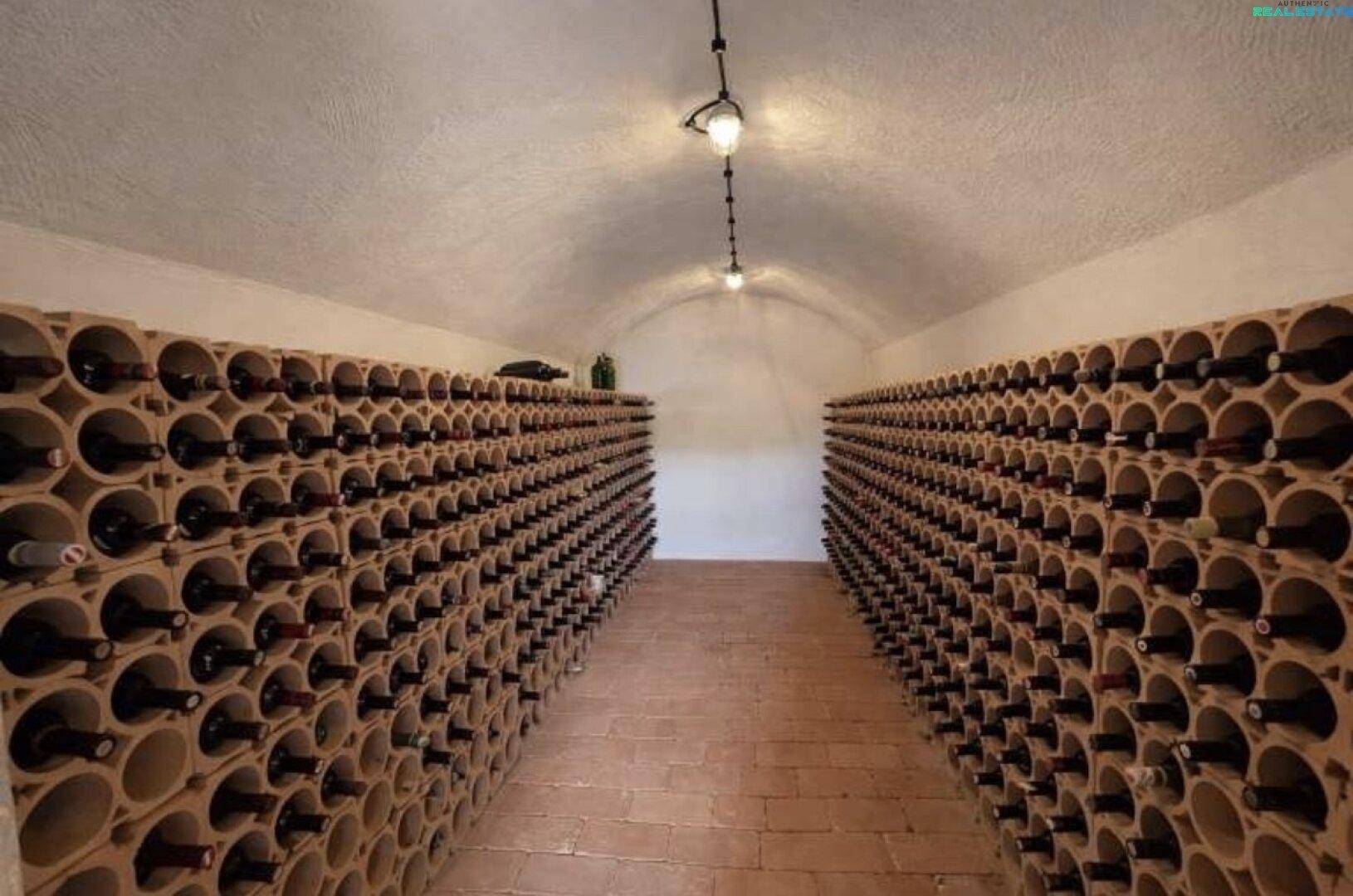 Traditioneller Weinkeller mit gewölbter Decke und zahlreichen Weinregalen für eine große Sammlung.