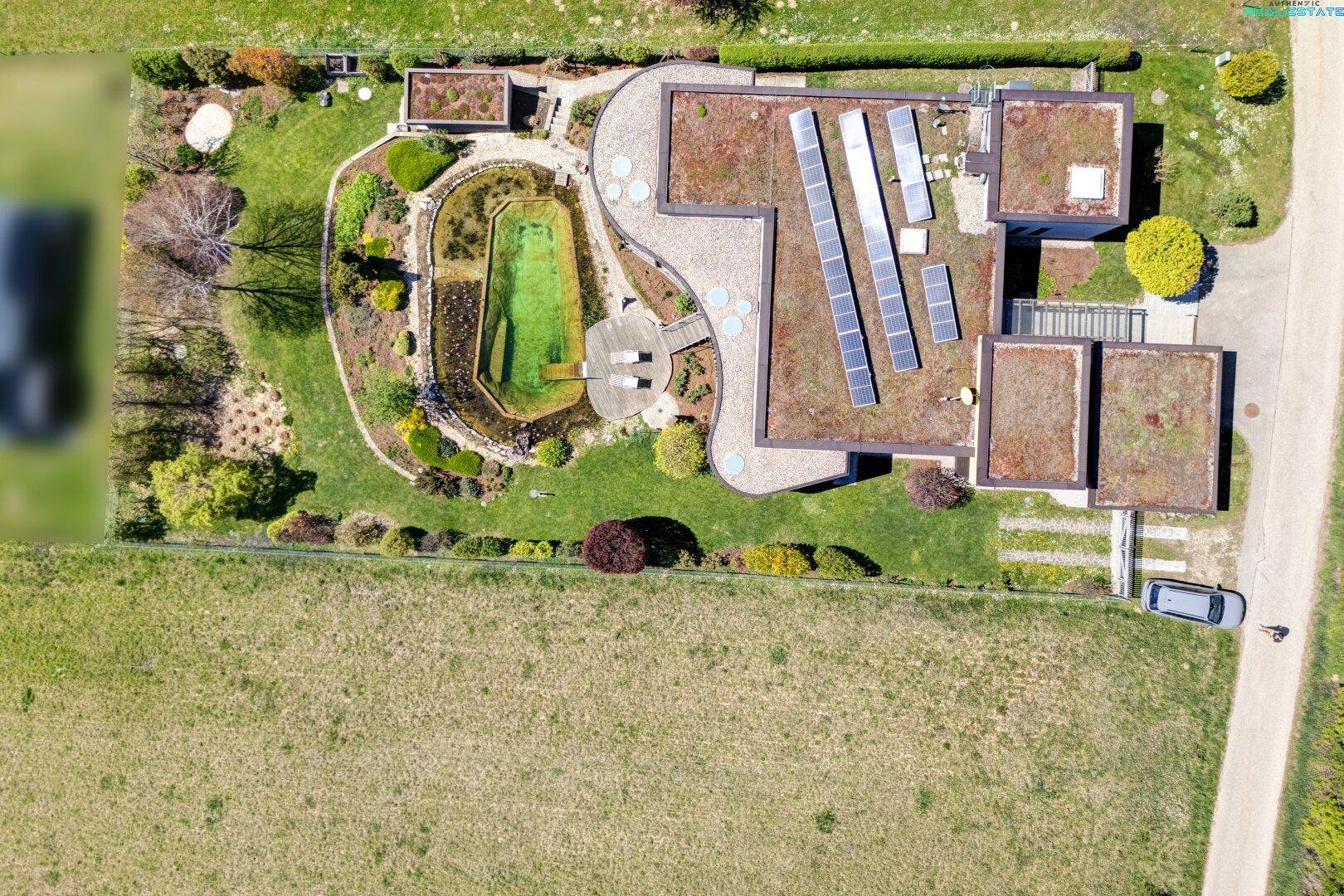 Draufsicht auf das moderne Haus mit Gründach, Photovoltaikanlage und organisch geformtem Naturpool im Garten.