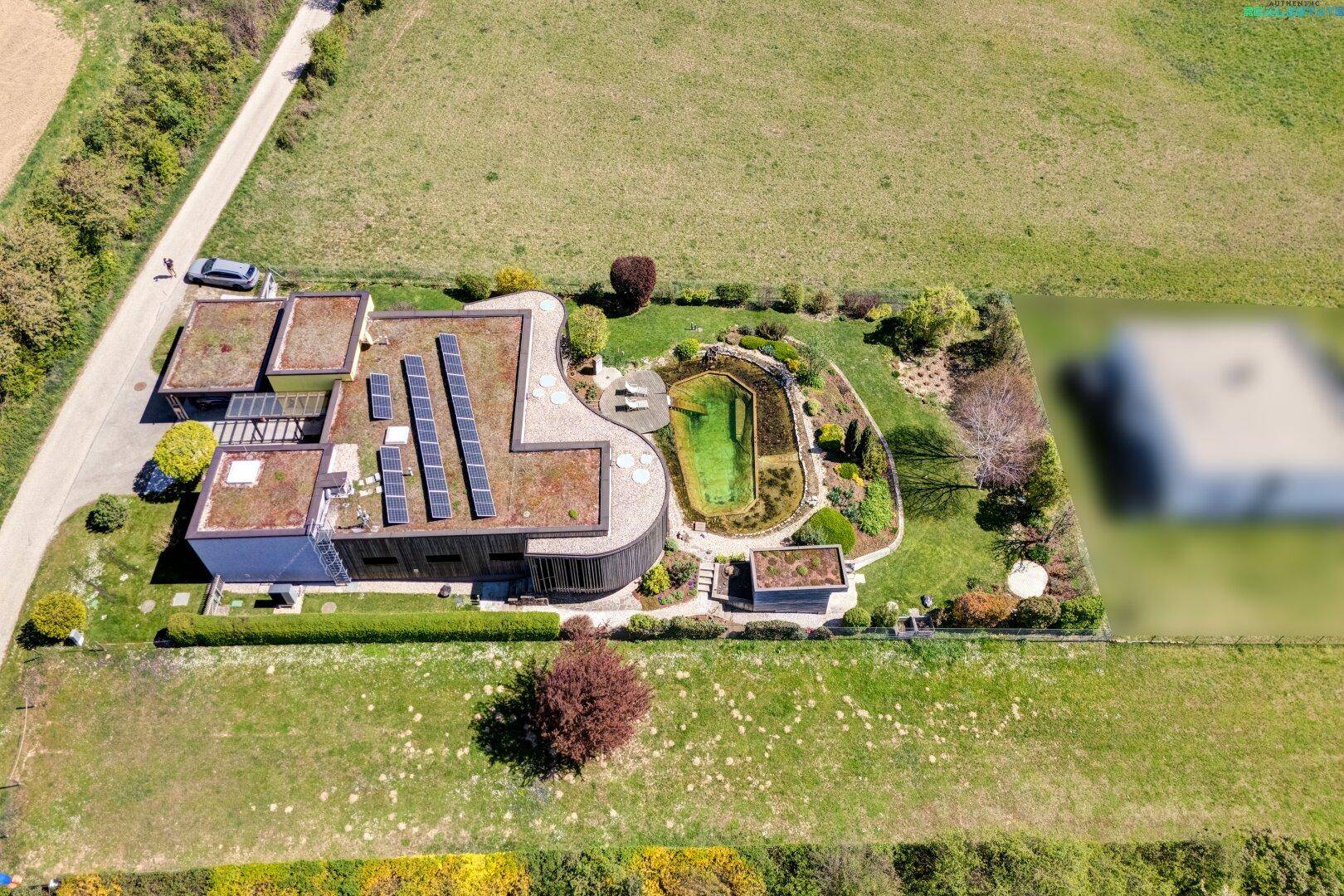 Gesamtansicht des Anwesens mit geschwungenem Haus, Gründach, Naturpool und angrenzenden Feldern.