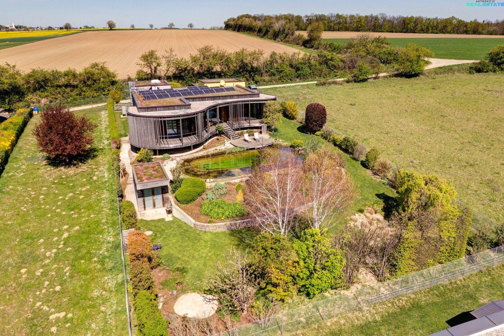 Weitwinkelaufnahme des modernen Hauses mit Gründach, Naturpool und umgebender Naturlandschaft.