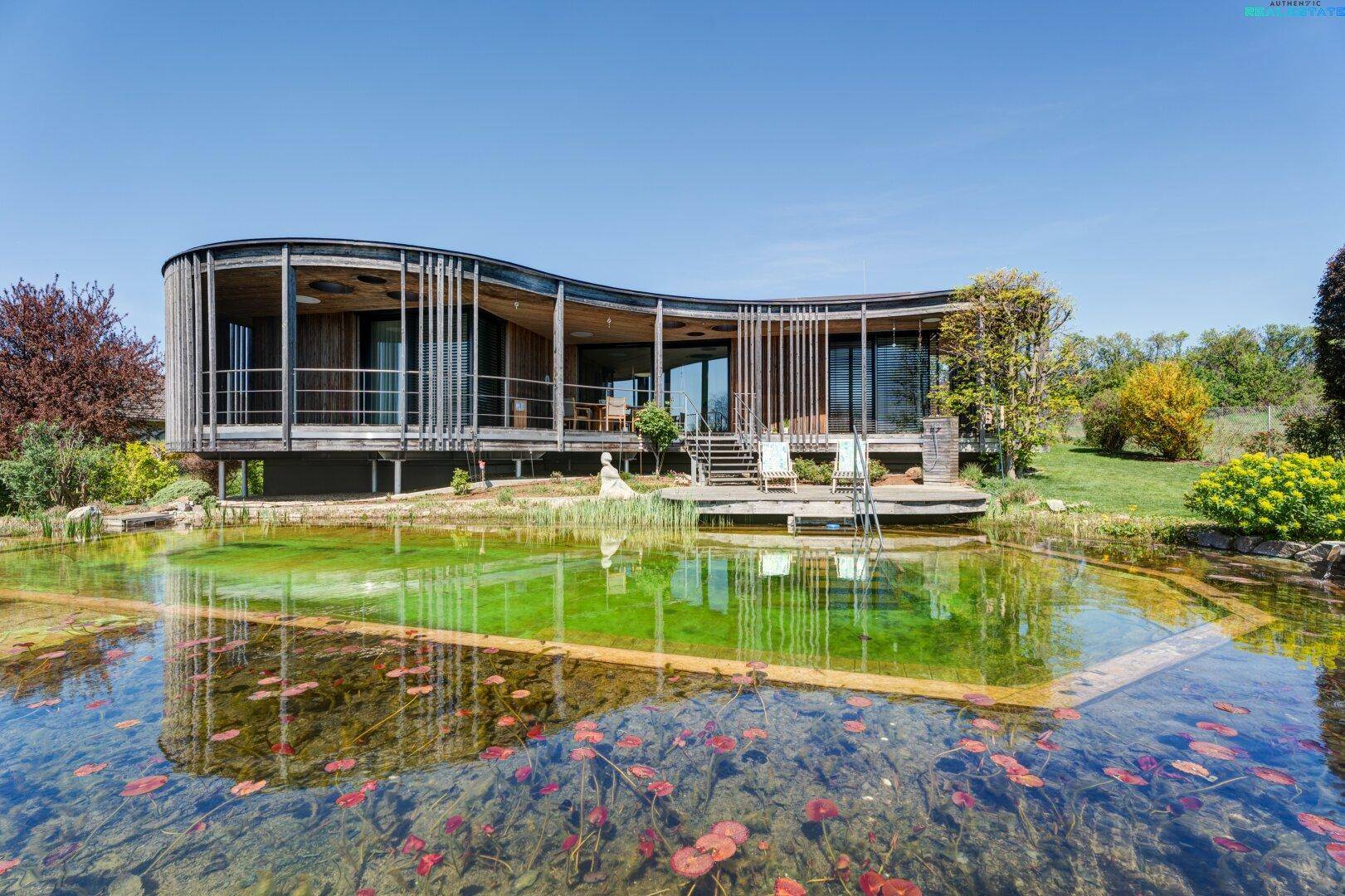 Naturpool mit Seerosen und die geschwungene Holzfassade des modernen Wohnhauses unter blauem Himmel.