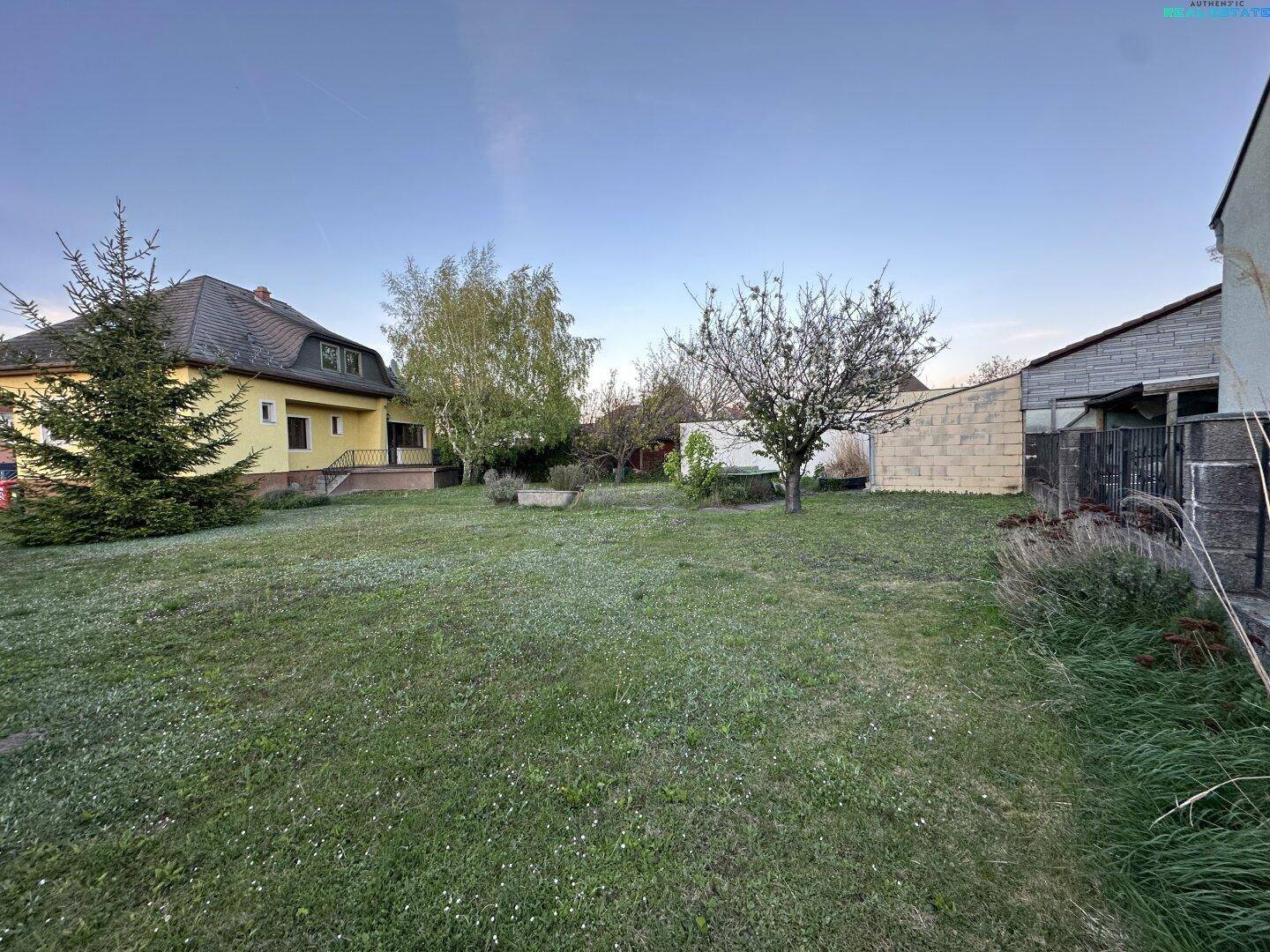 Großer, gepflegter Garten mit Rasenfläche und verschiedenen Bäumen hinter dem Haus.