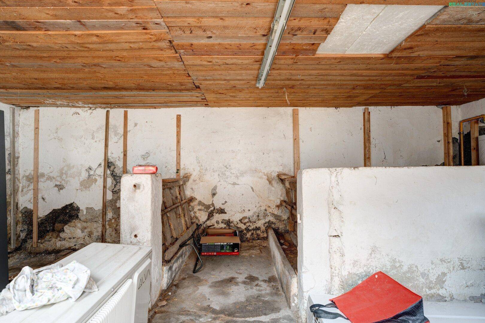Unfertiger Raum mit sichtbaren Holzbalken, rauen Wänden und Spuren von Feuchtigkeit.