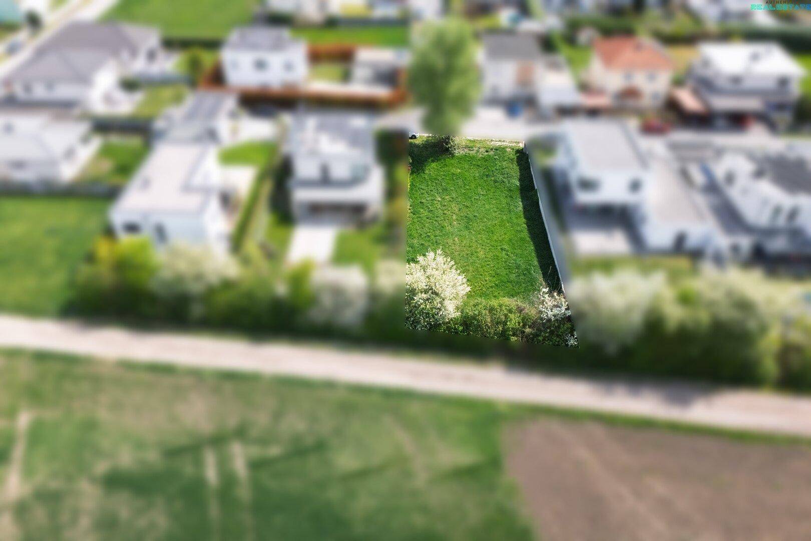 Traumhaftes Baugrundstück in Moosbrunn – Perfekt für Ihr Eigenheim nahe Wien - Ansicht 3