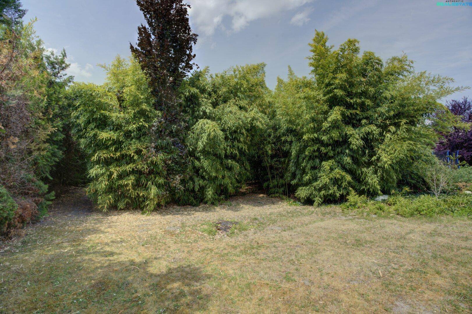 Traumgrundstück mit Altbestand in TOP Lage von Korneuburg - Widok 2