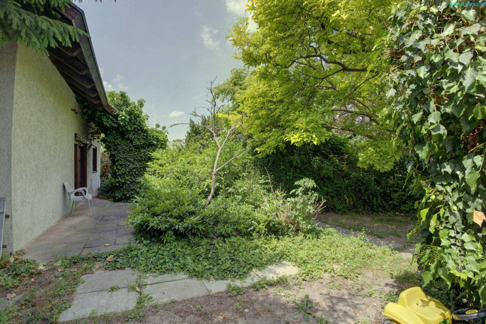 Traumgrundstück mit Altbestand in TOP Lage von Korneuburg - Widok 6