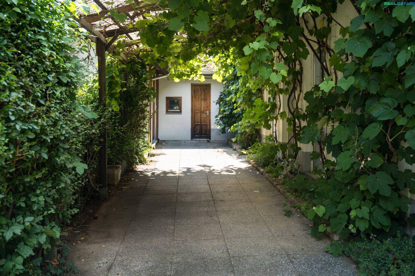 Bewachsener Weg unter einer Pergola, der zu einer Holztür eines Nebengebäudes führt.