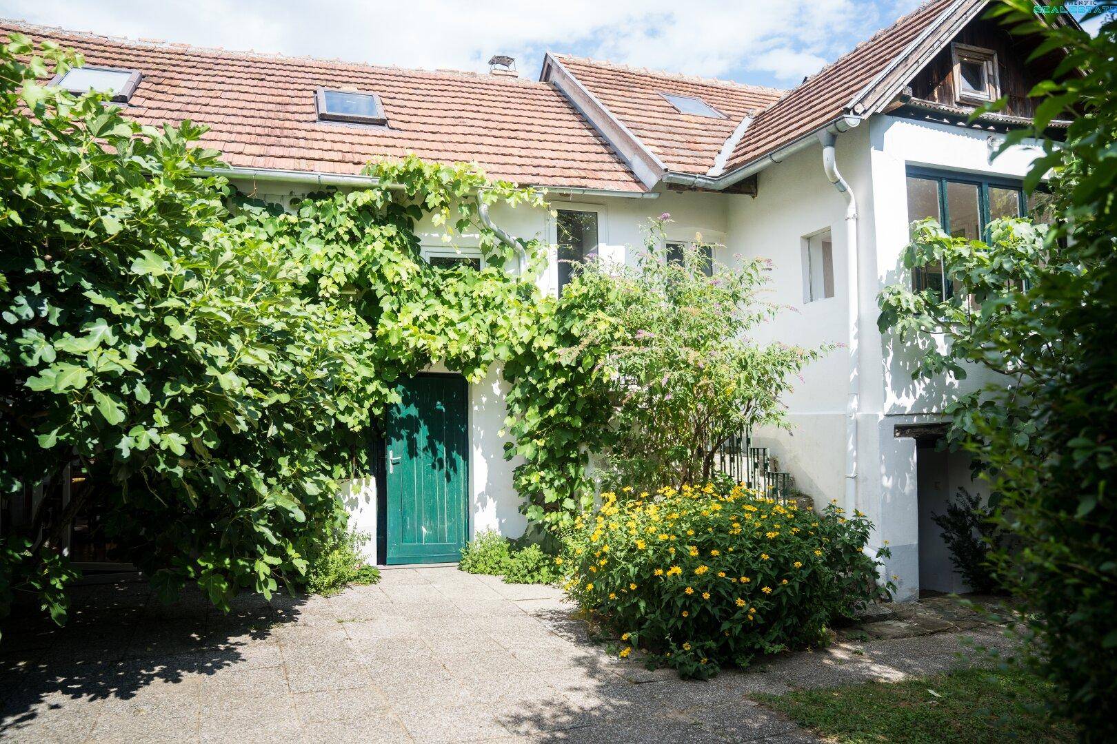 Charmantes Haus mit üppiger Begrünung, Kletterpflanzen und einem grünen Eingangstor.