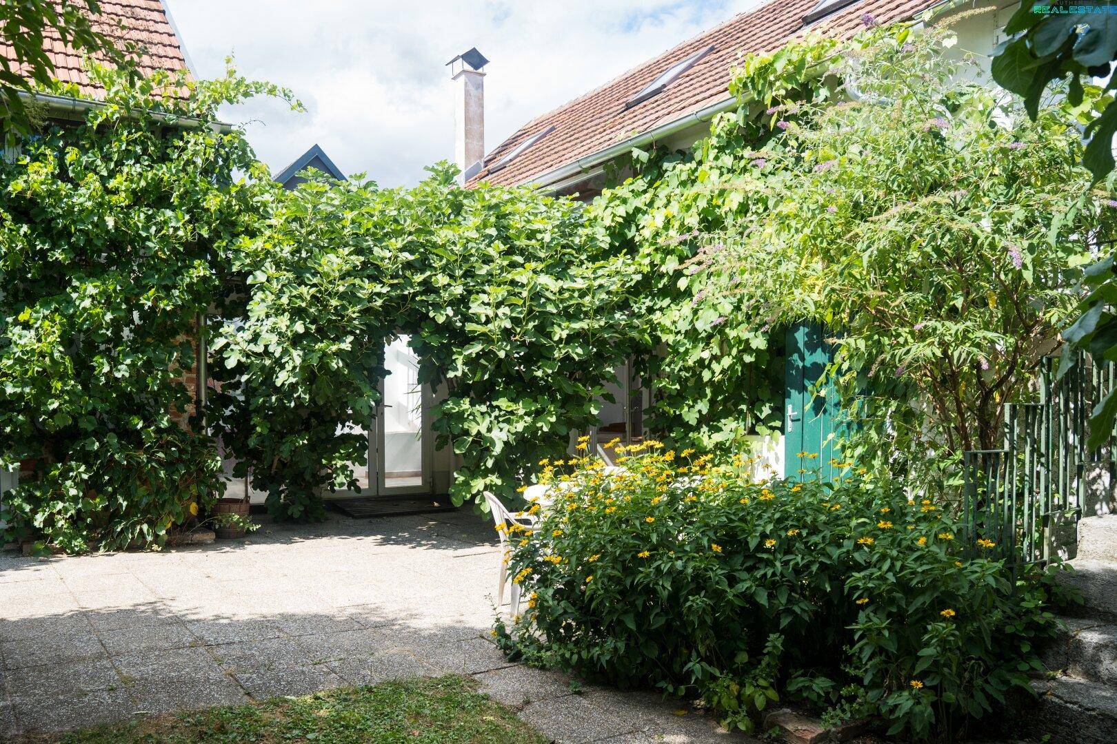 Idyllischer Gartenbereich mit dicht bewachsenen Wänden und einem sonnigen Sitzplatz.