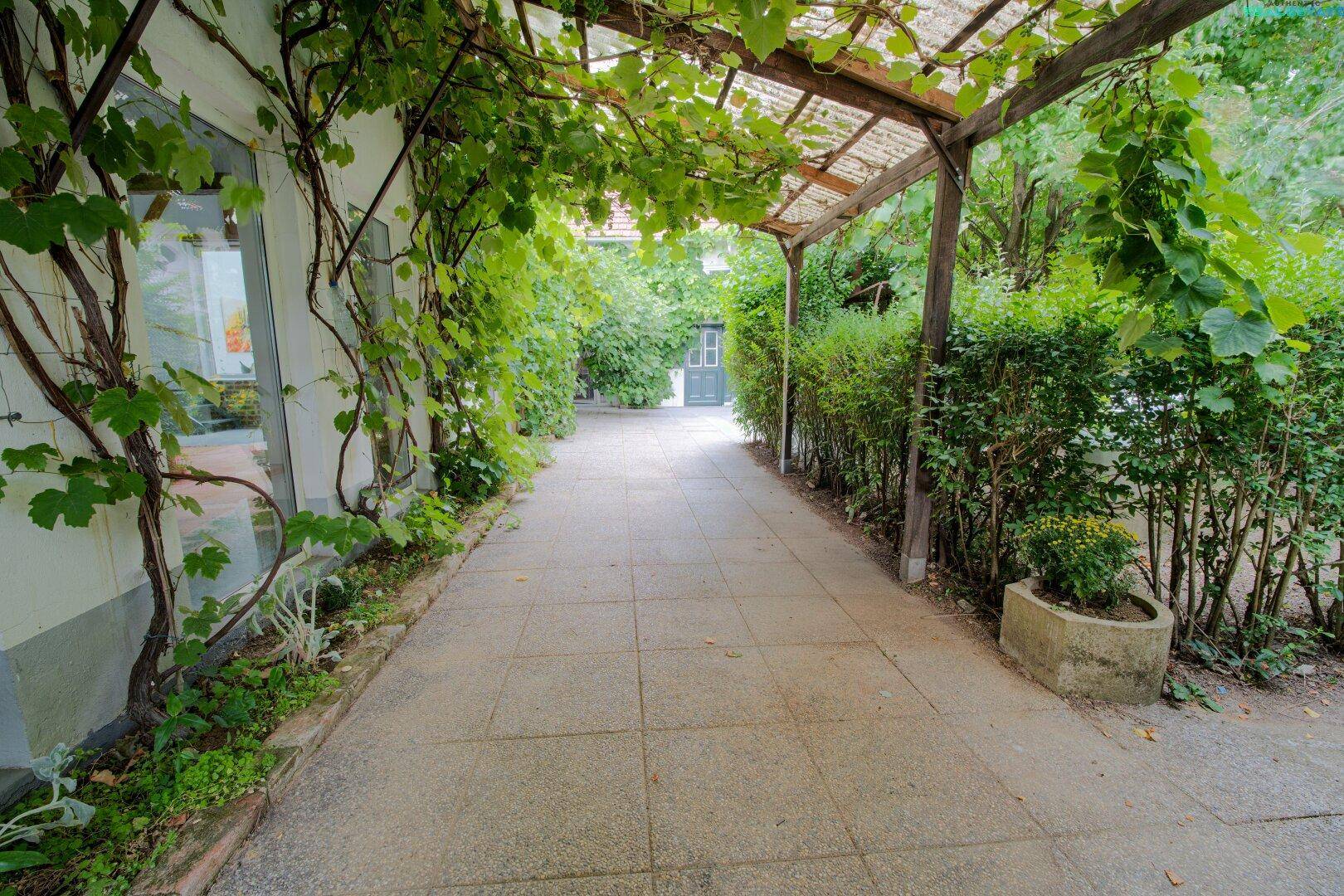 Grüner Weg unter einer bewachsenen Pergola, der zu einem Gebäude führt.