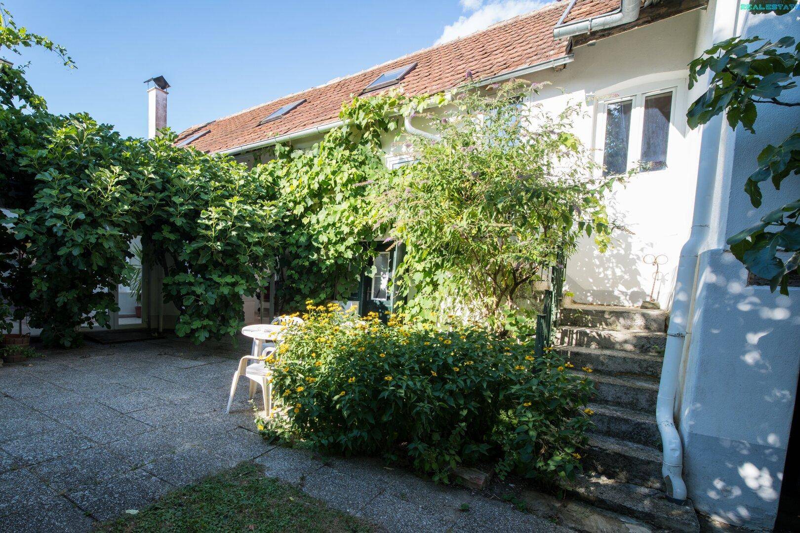 Sonniger Terrassenbereich mit Gartenmöbeln und blühenden Sträuchern vor dem Haus.