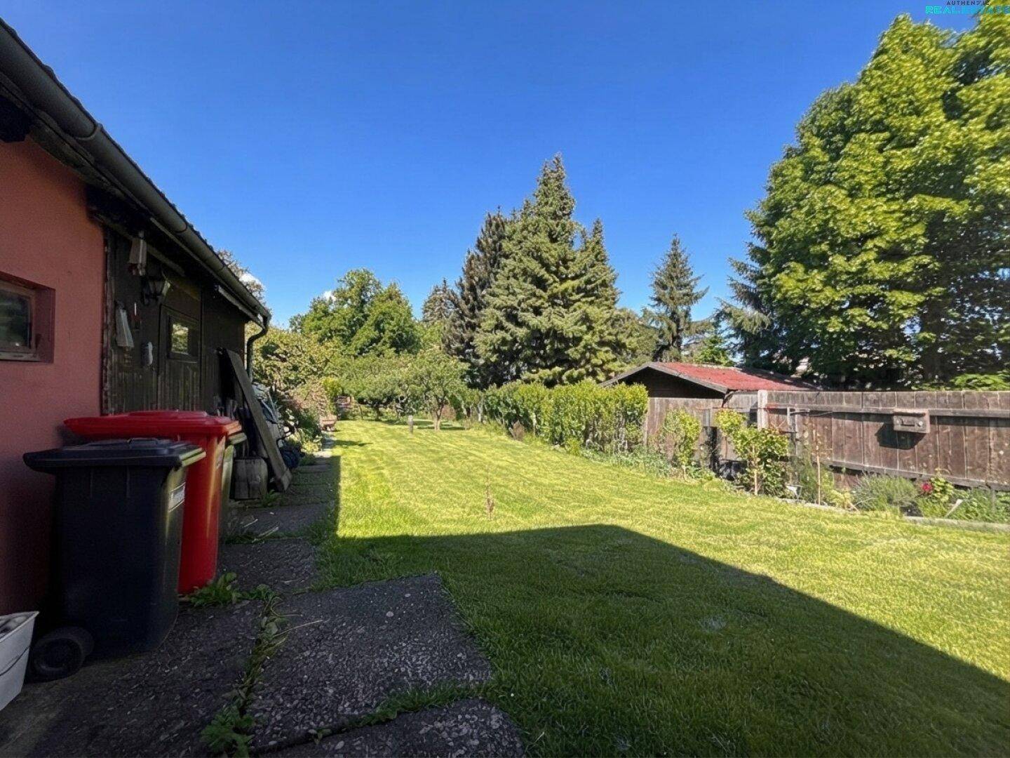 Großer, sonniger Gartenbereich mit Rasenfläche, hohen Bäumen und einem Holzzaun.