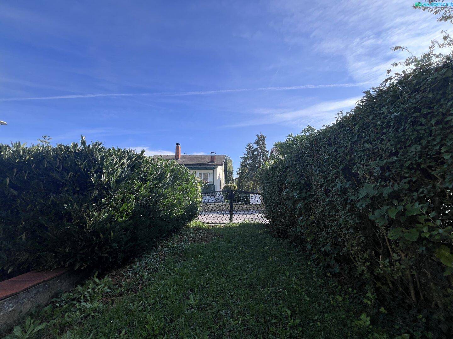 Blick durch den Gartenweg mit hohen Hecken zum Eingangstor und einem Haus im Hintergrund.