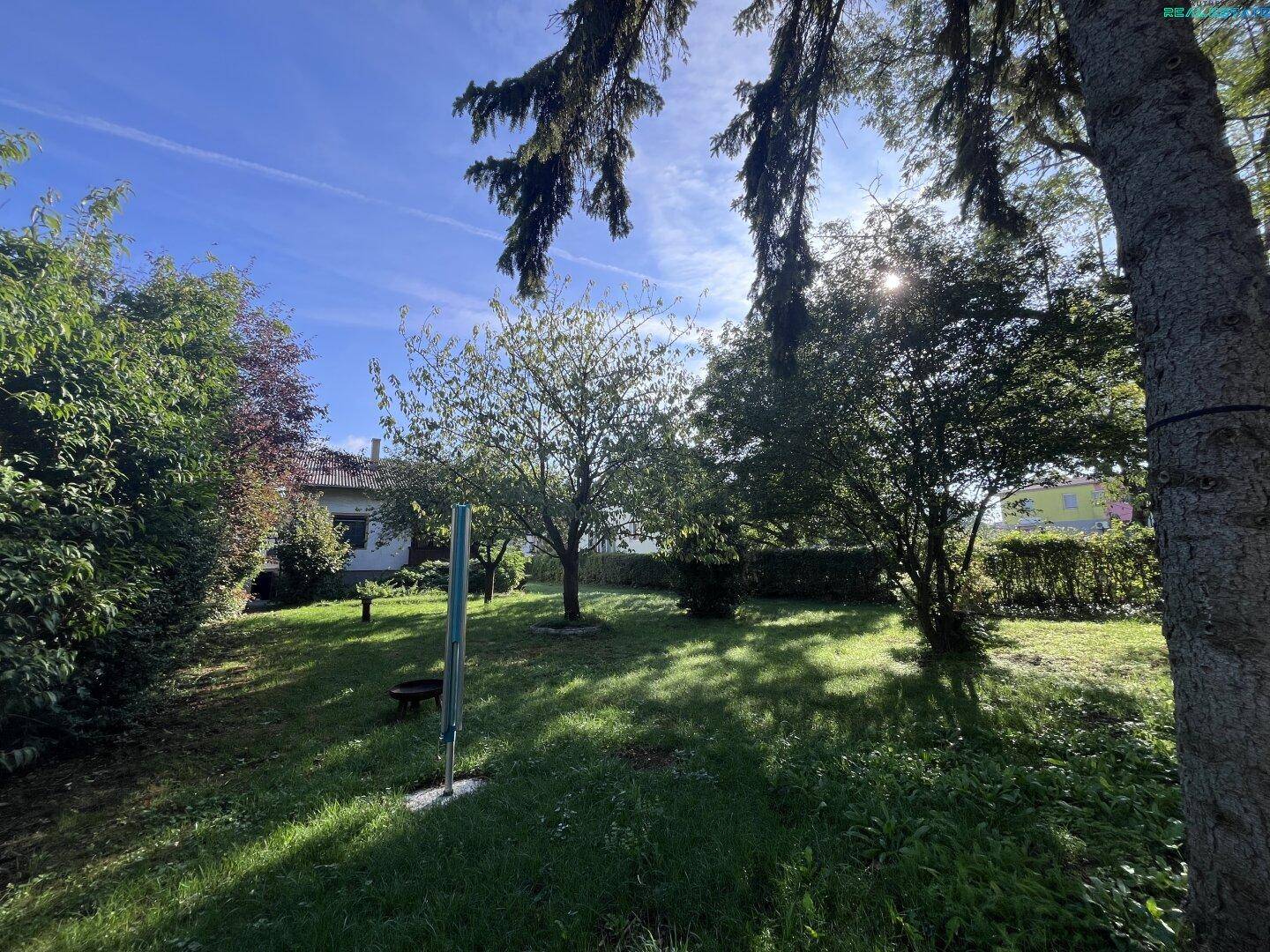 Sonniger Garten mit altem Baumbestand, Rasenfläche und Wäscheleine unter strahlend blauem Himmel.