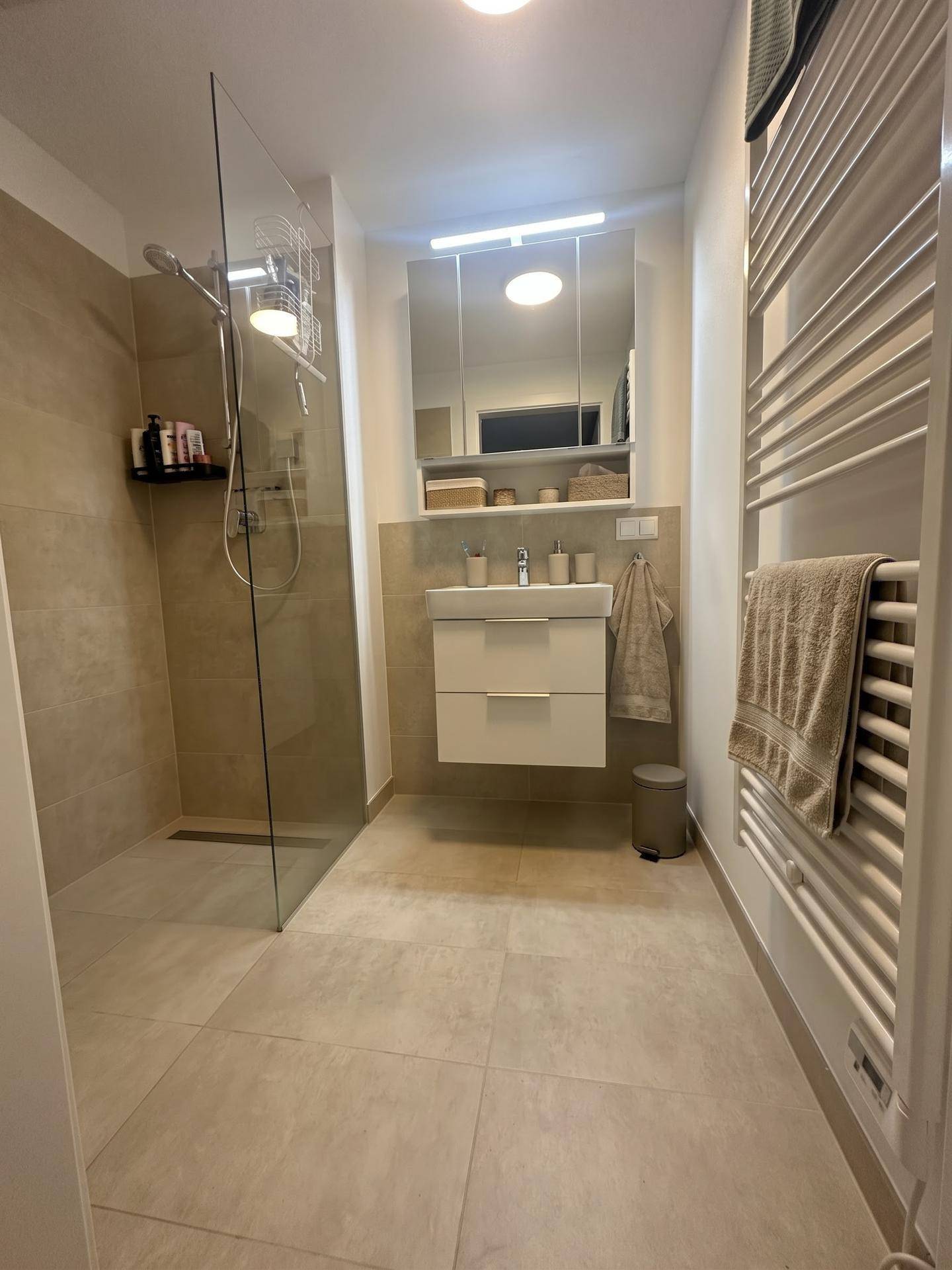 Modernes Badezimmer mit begehbarer Dusche, Einzelwaschbecken und beheiztem Handtuchhalter in beigen Farbtönen.